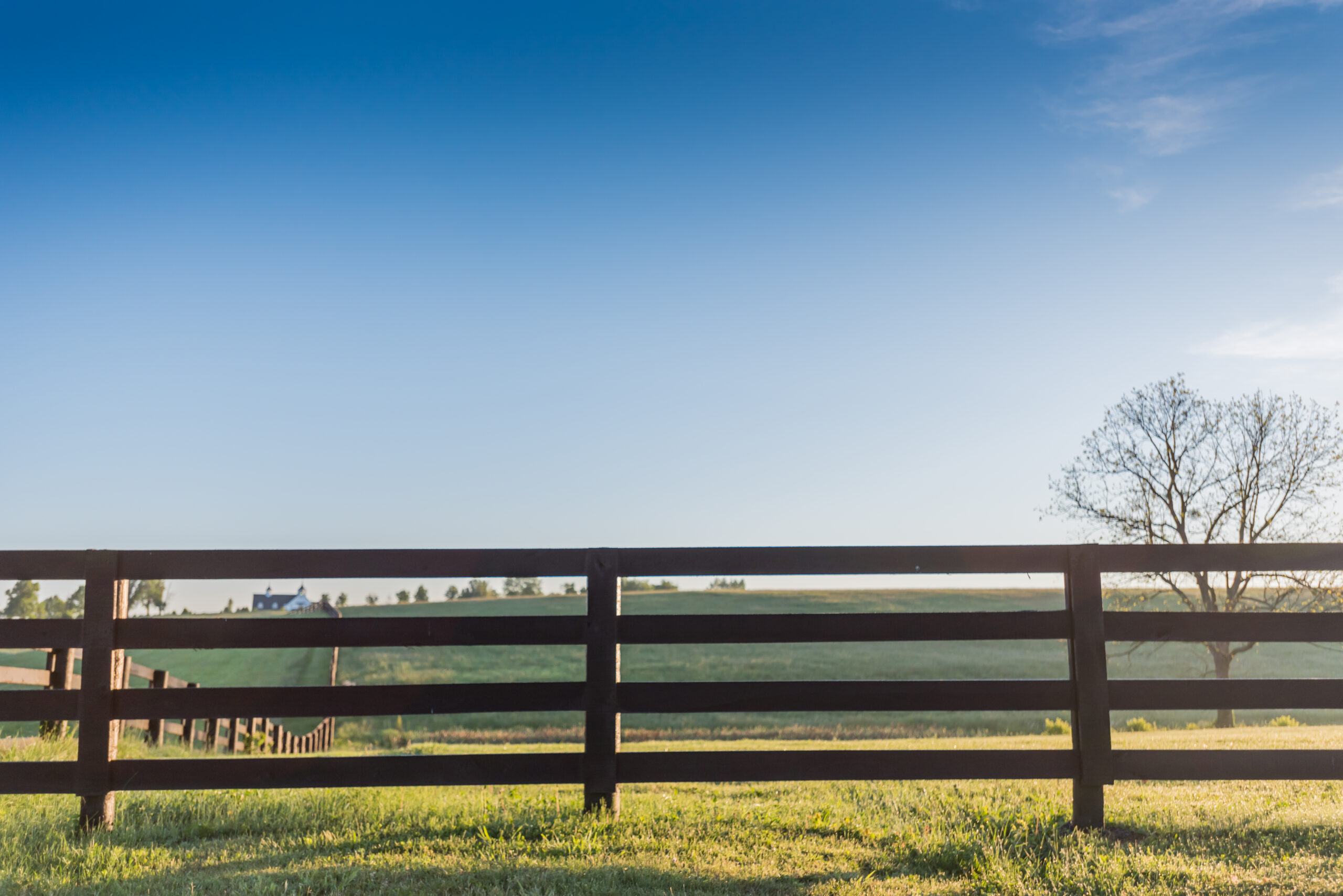 Wood Fences